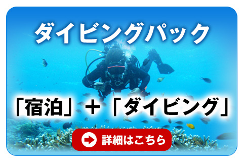 ダイビングパック