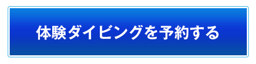 体験ダイビングを予約する