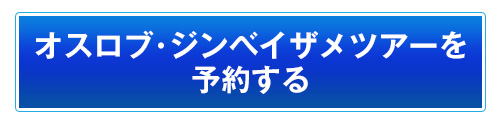 オスロブ・ジンベイザメツアー予約する
