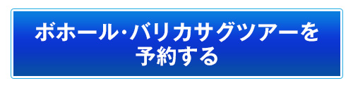 ボホール・バリカサグツアーを予約する
