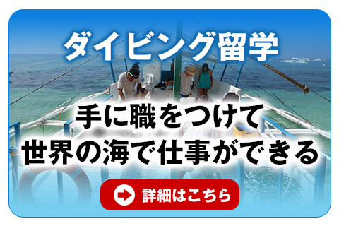 ダイビング留学パック