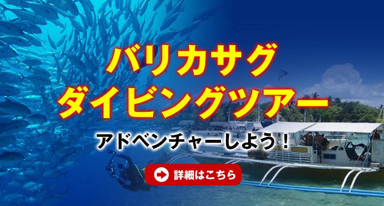 バリカサグダイビングツアー