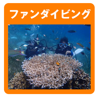 ファンダイビング