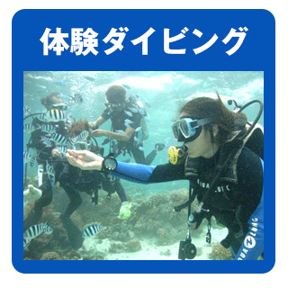 体験ダイビング