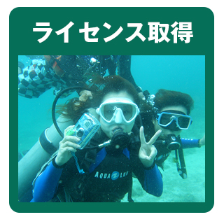 ライセンス取得