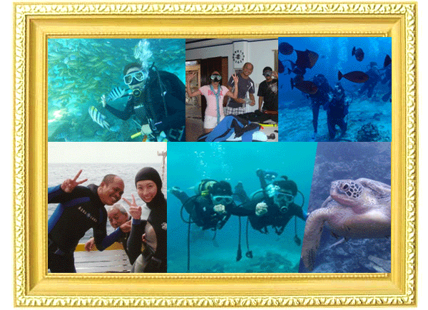 これまでの参加者の感想を見る